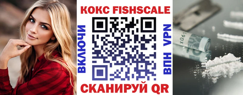 COCAIN Fish Scale  где можно купить   Новошахтинск 