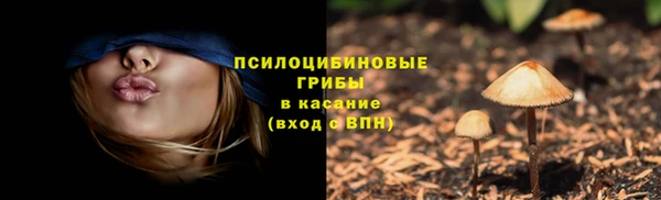 кокс Алзамай