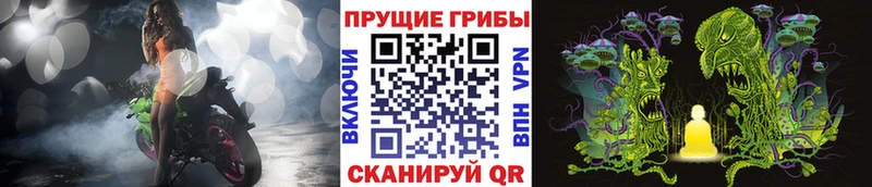 что такое наркотик Новошахтинск Псилоцибиновые грибы Magic Shrooms